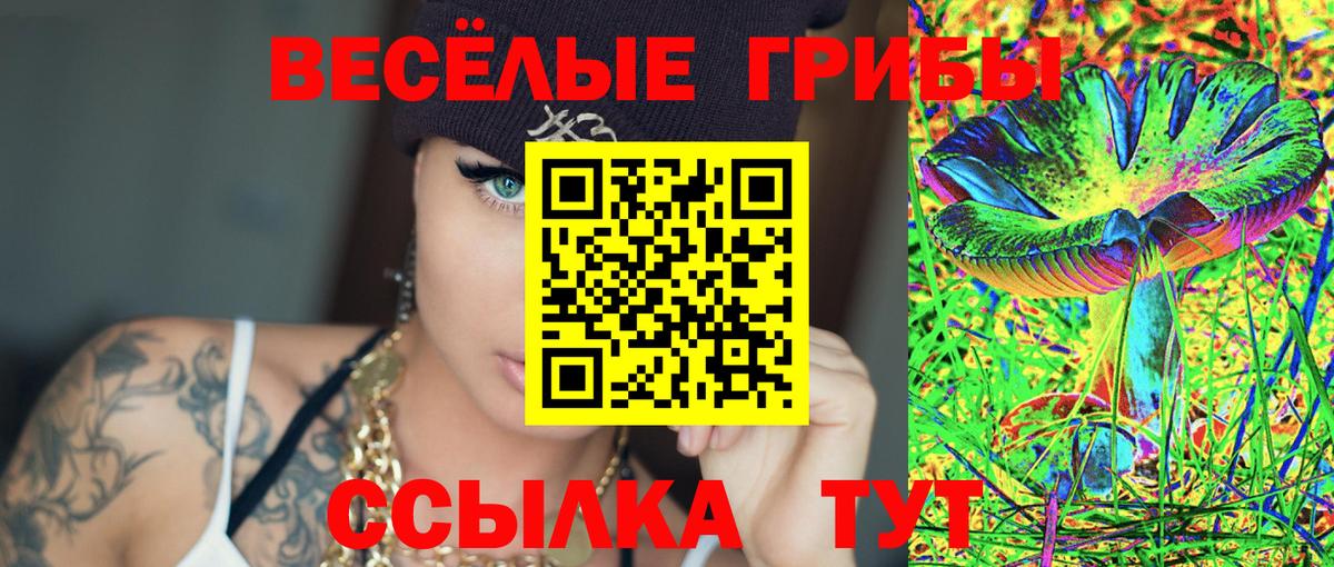 Галлюциногенные грибы Psilocybe  Вход с VPN  Шали 