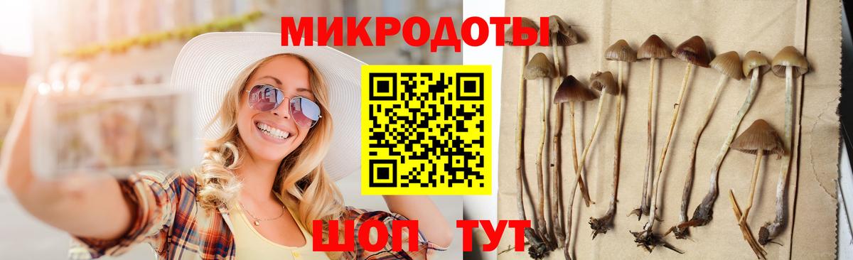Псилоцибиновые грибы MAGIC MUSHROOMS Шали